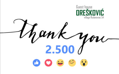 Thank you for 2.500 likes on Facebook