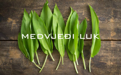 Dan MEDVJEĐEG LUKA 2019.