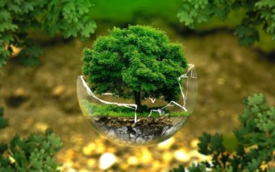 World Environment Day  2019.